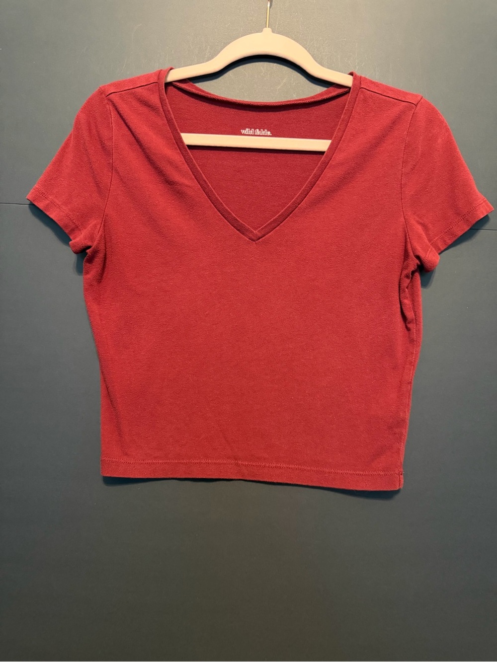 wild fable Brick Red V-Neck Crop Top